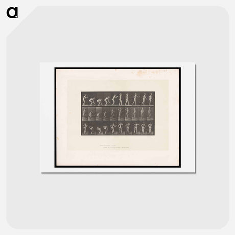 アートポストカード-Throwing the Ball
 - エドワード マイブリッジ Postcard.