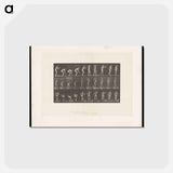 アートポストカード-Throwing the Ball
 - エドワード マイブリッジ Postcard.