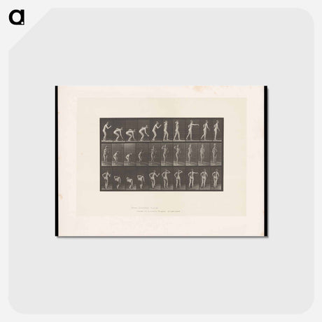 アートポストカード-Throwing the Ball
 - エドワード マイブリッジ Postcard.