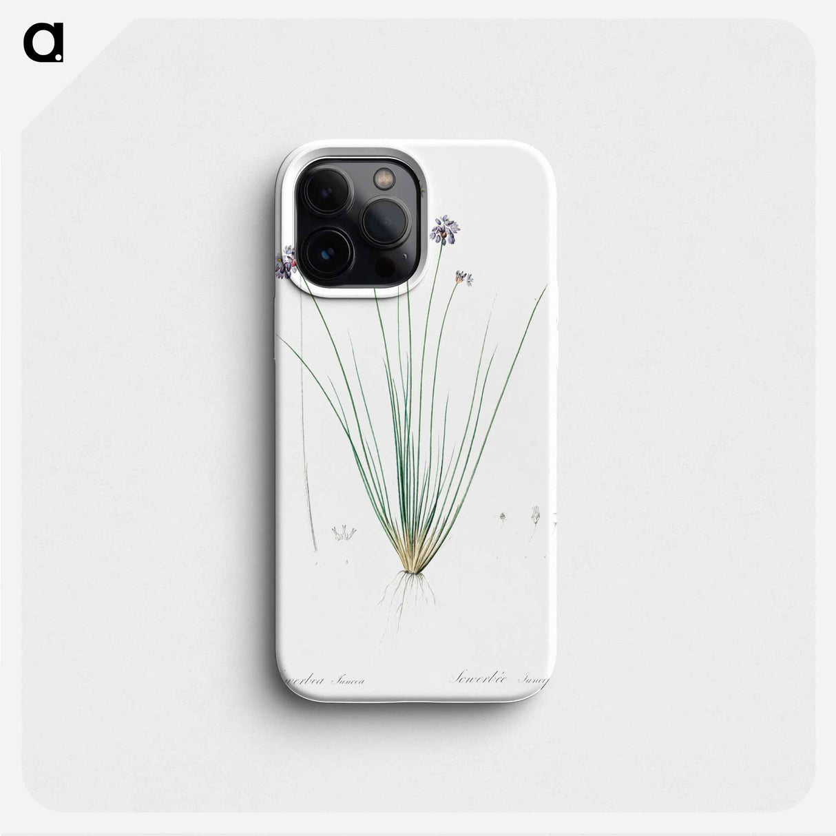 Vanilla lily illustration - Pierre Joseph Redouté Phone Case.