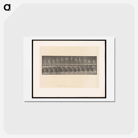 アートポストカード-Flying Somersault
 - エドワード マイブリッジ Postcard.