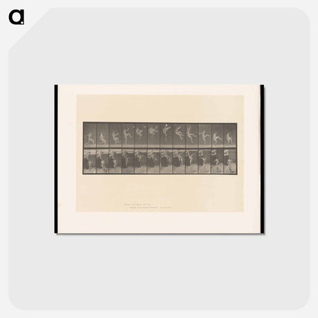 アートポストカード-Flying Somersault
 - エドワード マイブリッジ Postcard.