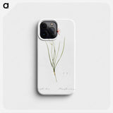 Amaryllis montana illustration - Pierre Joseph Redouté Phone Case.