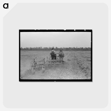 アートポストカード-Lake Dick Cooperative Member
 - ラッセル リー Postcard.