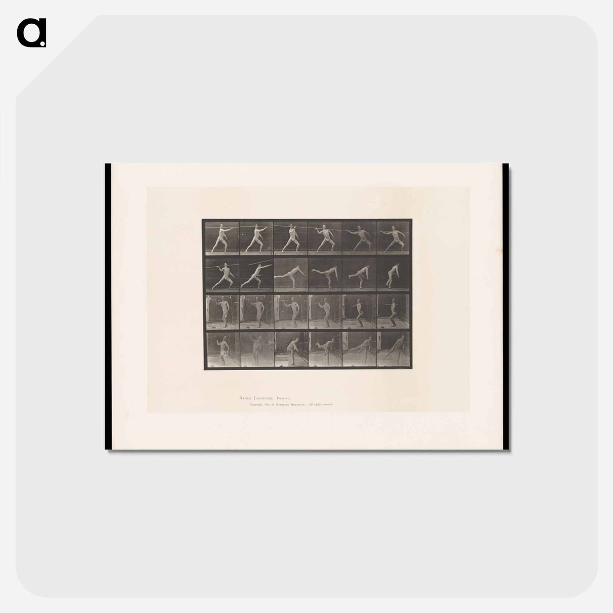 アートポストカード-The Javelin Thrower
 - エドワード マイブリッジ Postcard.