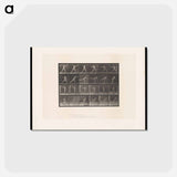 アートポストカード-The Javelin Thrower
 - エドワード マイブリッジ Postcard.
