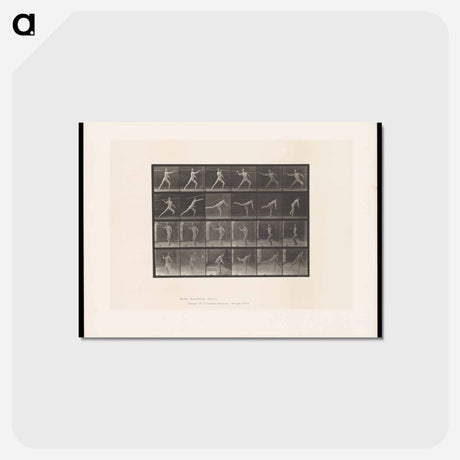 アートポストカード-The Javelin Thrower
 - エドワード マイブリッジ Postcard.