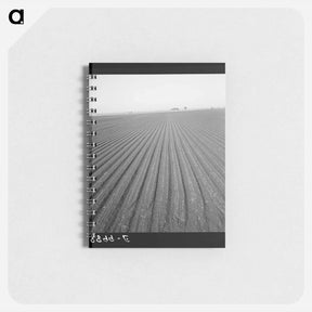 アートメモ帳-Untitled photo - ドロテア ラング Memo.