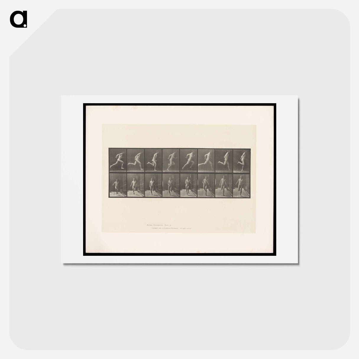 アートポストカード-Naked Man Running
 - エドワード マイブリッジ Postcard.