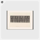 アートポストカード-Naked Man Running
 - エドワード マイブリッジ Postcard.