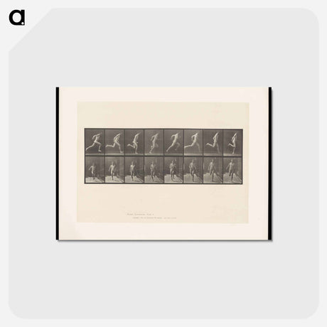 アートポストカード-Naked Man Running
 - エドワード マイブリッジ Postcard.