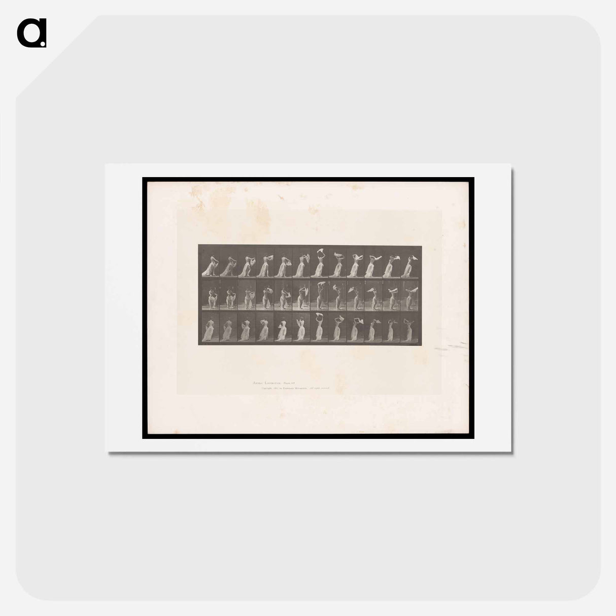 アートポストカード-Woman with Drapery
 - エドワード マイブリッジ Postcard.