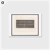 アートポストカード-Woman with Drapery
 - エドワード マイブリッジ Postcard.