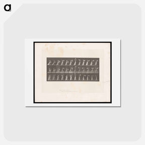 アートポストカード-Woman with Drapery
 - エドワード マイブリッジ Postcard.