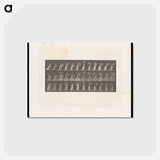 アートポストカード-Woman with Drapery
 - エドワード マイブリッジ Postcard.