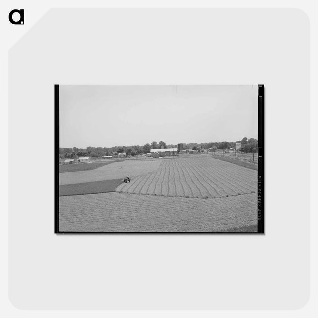 アートポストカード-Cutting Alfalfa Near Prague
 - ラッセル リー Postcard.