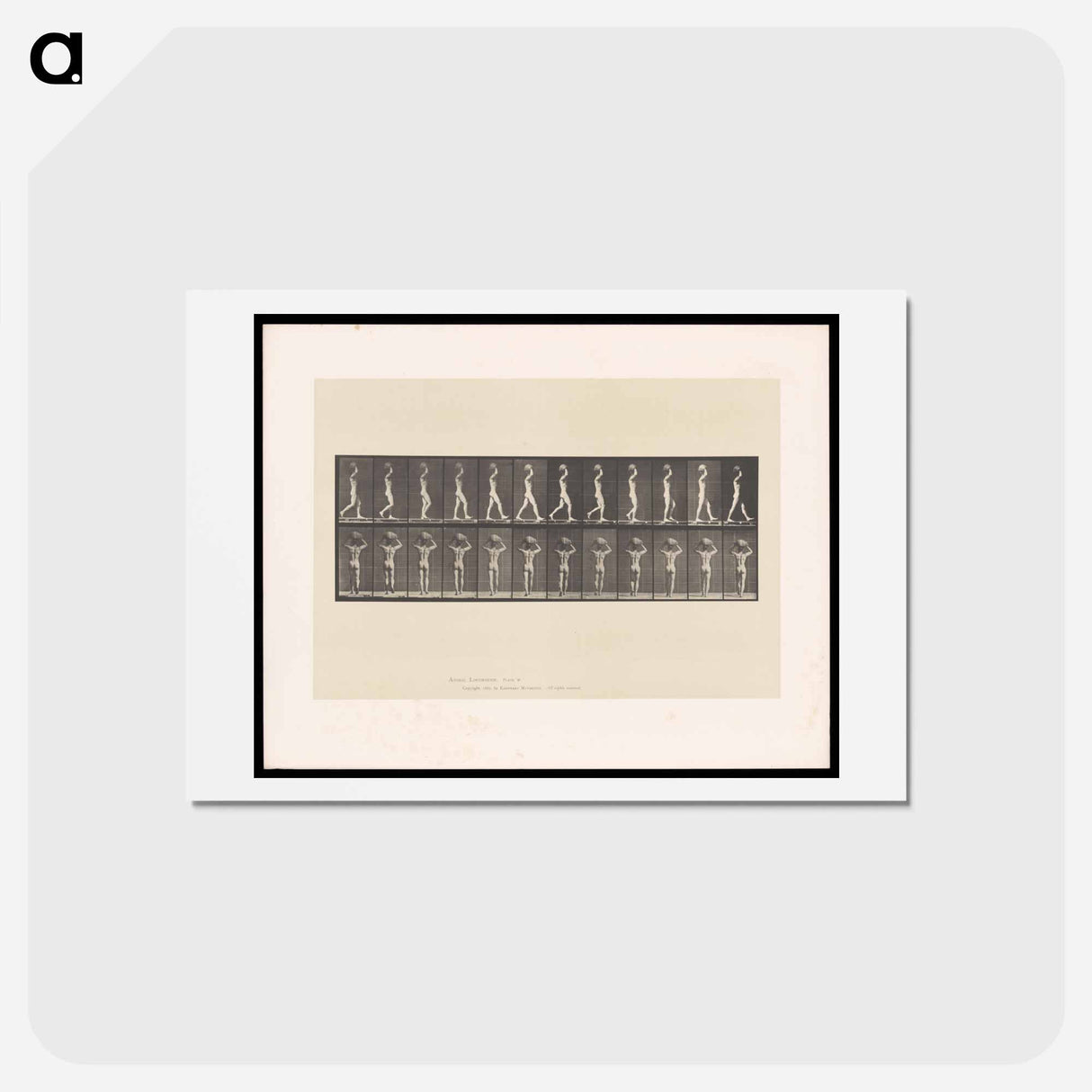 アートポストカード-Man with a Load
 - エドワード マイブリッジ Postcard.