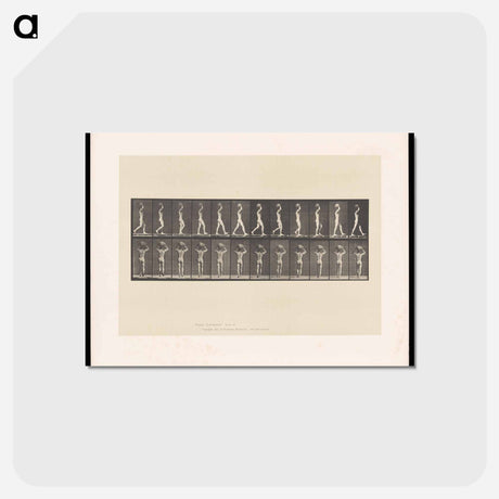 アートポストカード-Man with a Load
 - エドワード マイブリッジ Postcard.