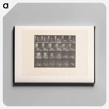 Wrestling Figures
 - エドワード マイブリッジ Canvas.