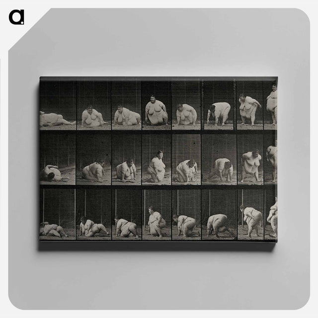 アートパネル-Obese Woman Rising
 - エドワード マイブリッジ Canvas.