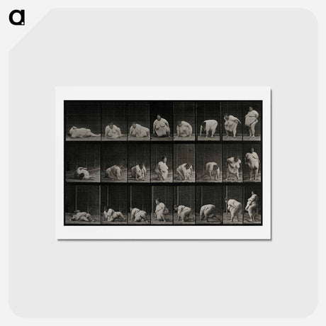 アートポストカード-Obese Woman Rising
 - エドワード マイブリッジ Postcard.