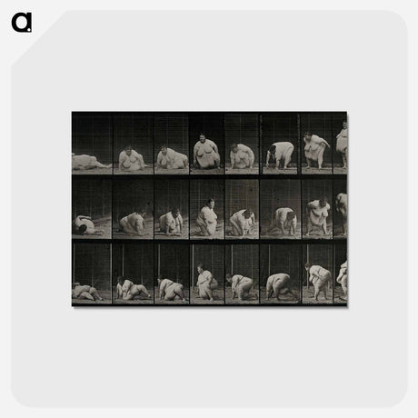 アートポストカード-Obese Woman Rising
 - エドワード マイブリッジ Postcard.