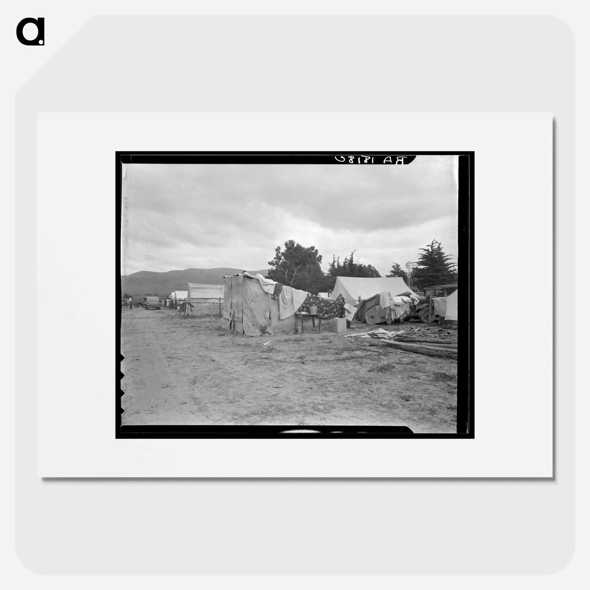 Camps of migrant pea workers - Dorothea Lange Poster.