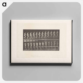 アートパネル-Woman with Bowl Ascending Stairs
 - エドワード マイブリッジ Canvas.