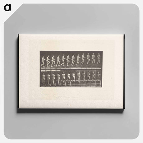 アートパネル-Woman with Bowl Ascending Stairs
 - エドワード マイブリッジ Canvas.