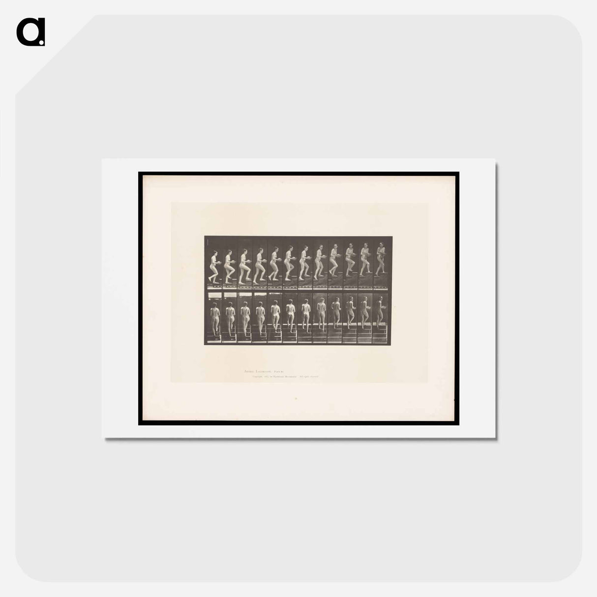 アートポストカード-Woman with Bowl Ascending Stairs
 - エドワード マイブリッジ Postcard.