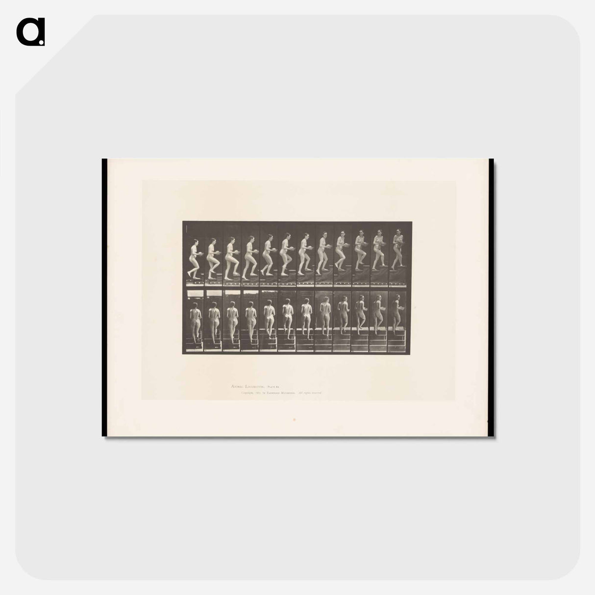 アートポストカード-Woman with Bowl Ascending Stairs
 - エドワード マイブリッジ Postcard.