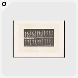 アートポストカード-Woman with Bowl Ascending Stairs
 - エドワード マイブリッジ Postcard.