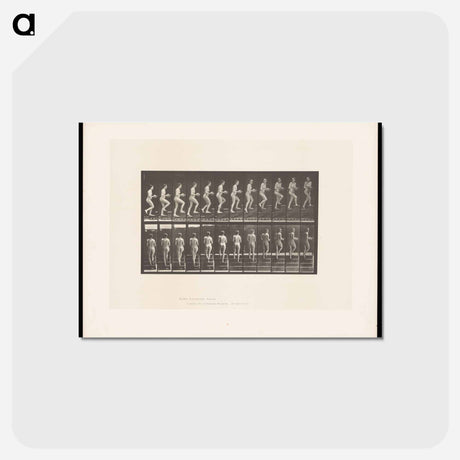 アートポストカード-Woman with Bowl Ascending Stairs
 - エドワード マイブリッジ Postcard.