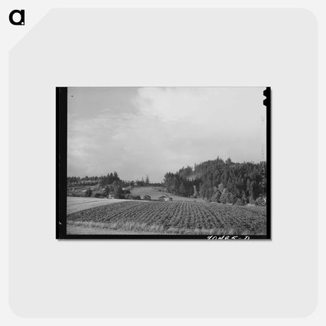 アートポストカード-Willamette Valley Gardens
 - ラッセル リー Postcard.