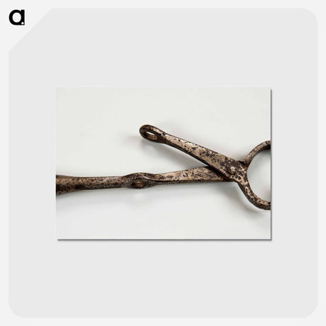 アートポストカード-Hog Catcher
 - バーンズ・コレクション Postcard.