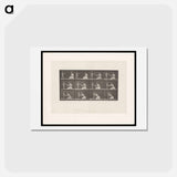 アートポストカード-Bouquet
 - エドワード マイブリッジ Postcard.