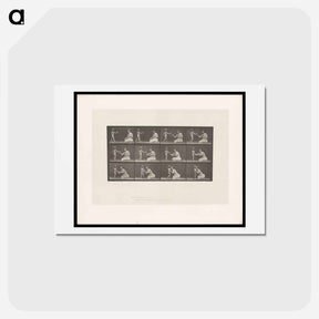 アートポストカード-Bouquet
 - エドワード マイブリッジ Postcard.