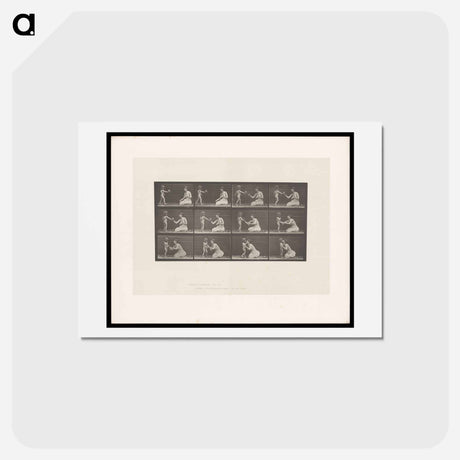 アートポストカード-Bouquet
 - エドワード マイブリッジ Postcard.