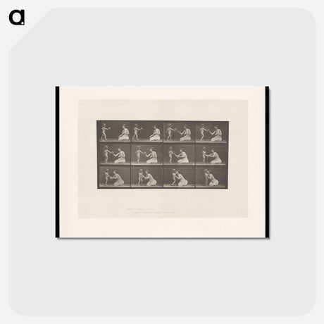 アートポストカード-Bouquet
 - エドワード マイブリッジ Postcard.