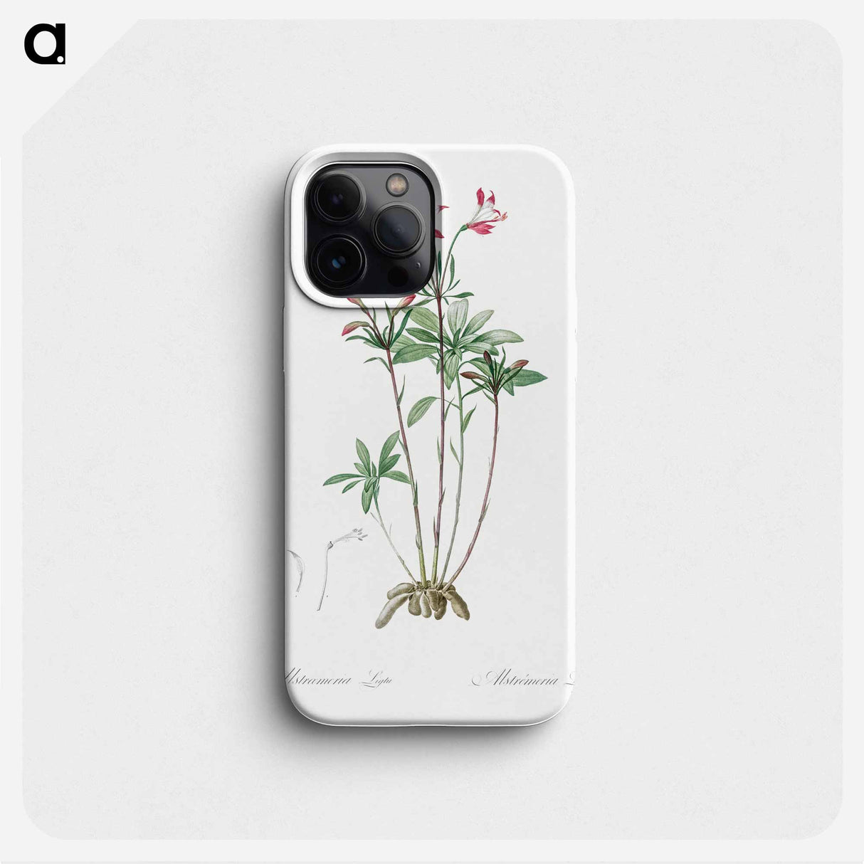 Lily of the Incas - ピエール ジョゼフ ルドゥーテ Phone Case.