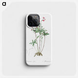 Lily of the Incas - Pierre Joseph Redouté Phone Case.