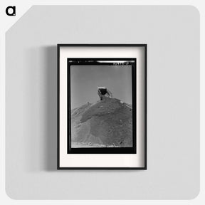 アートポスター-Shasta Dam Dirt Load
 - ラッセル リー Poster.