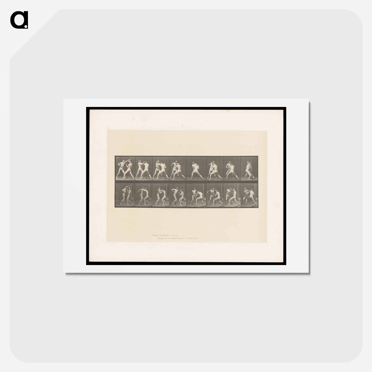 アートポストカード-Posing Pouches
 - エドワード マイブリッジ Postcard.