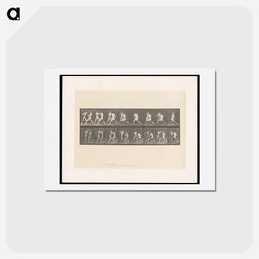 アートポストカード-Posing Pouches
 - エドワード マイブリッジ Postcard.