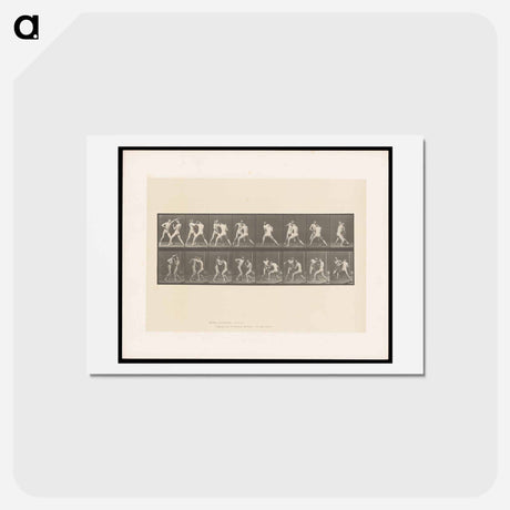 アートポストカード-Posing Pouches
 - エドワード マイブリッジ Postcard.