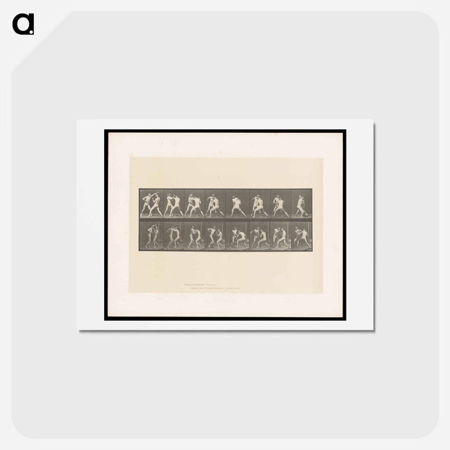 アートポストカード-Posing Pouches
 - エドワード マイブリッジ Postcard.