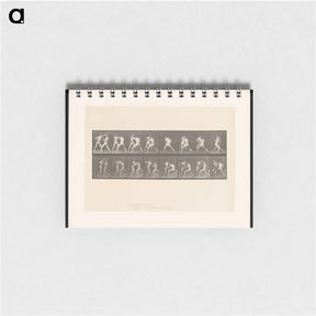 アートメモ帳-Posing Pouches
 - エドワード マイブリッジ Memo.