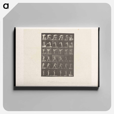 アートパネル-Woman in Motion
 - エドワード マイブリッジ Canvas.