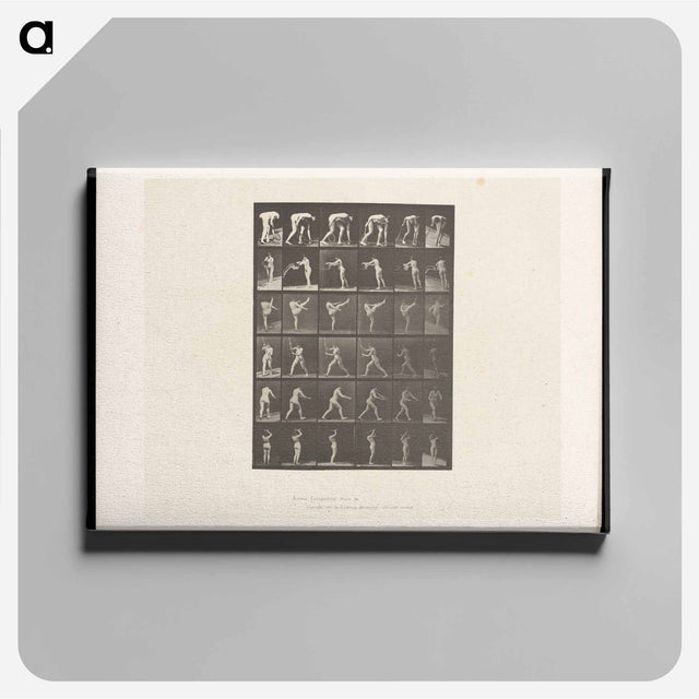アートパネル-Woman in Motion
 - エドワード マイブリッジ Canvas.