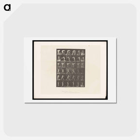 アートポストカード-Woman in Motion
 - エドワード マイブリッジ Postcard.